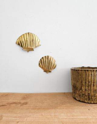 Coquillage en laiton • 2 tailles