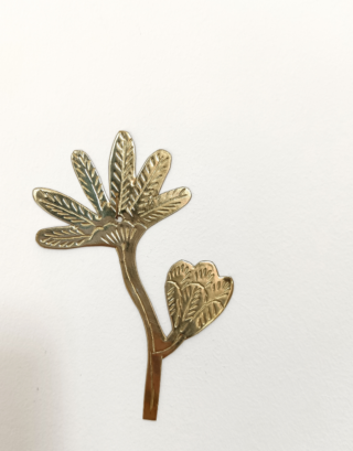 Zoom sur notre fleur marguerite