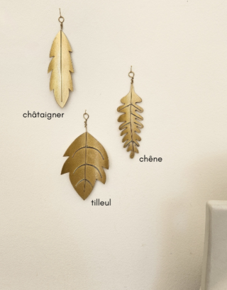 Nomination des feuilles