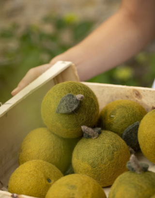 Pomme en feutrine | Muskhane