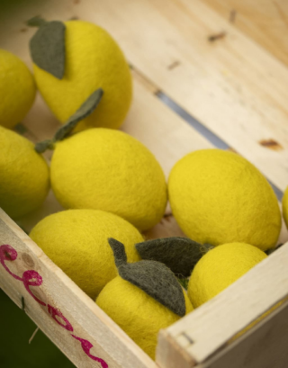 Citron en feutrine | Muskhane